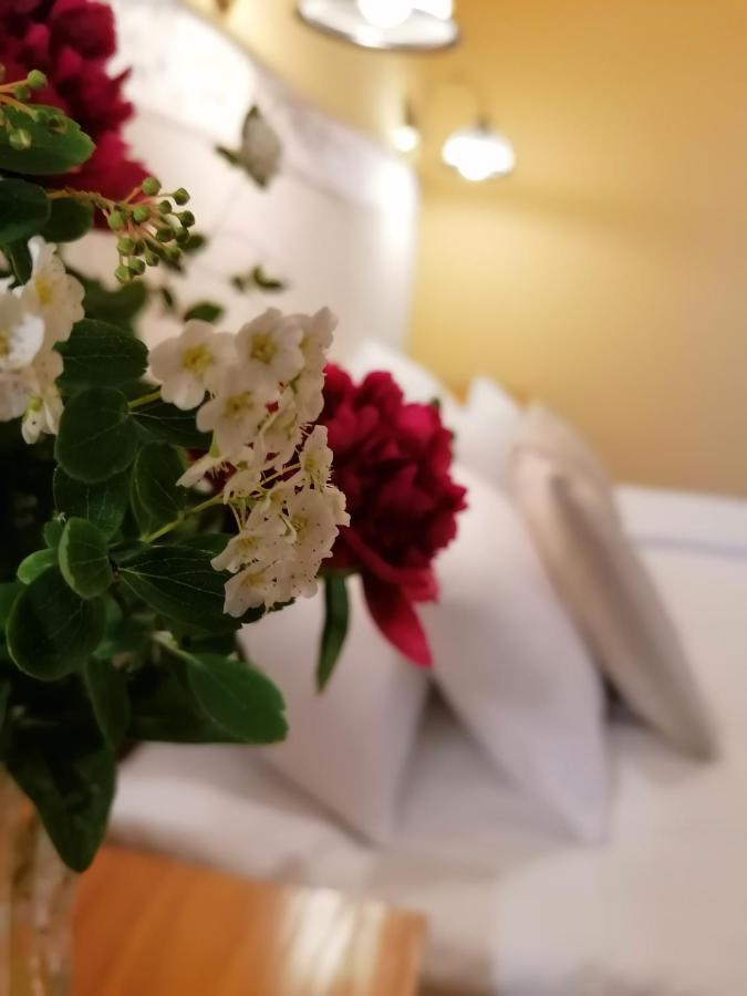 Forras Fogado Bed and Breakfast Bükkszék Eksteriør billede
